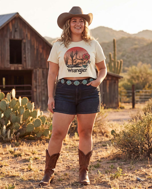 Wrangler Desert Landscape Cropped Graphic Tee